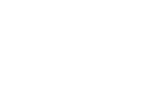 MS Store